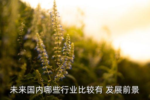 未來國內哪些行業(yè)比較有 發(fā)展前景
