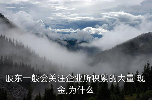 股東一般會關注企業(yè)所積累的大量 現(xiàn)金,為什么