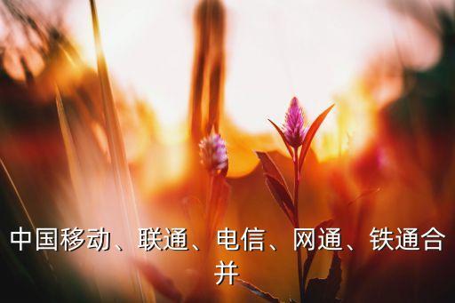 中國移動、聯(lián)通、電信、網通、鐵通合并