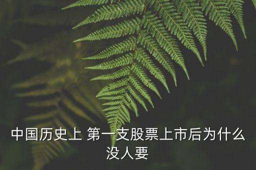 中國(guó)歷史上 第一支股票上市后為什么沒人要