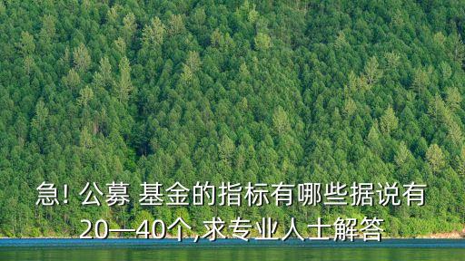 急! 公募 基金的指標有哪些據(jù)說有20—40個,求專業(yè)人士解答