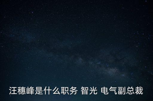 汪穗峰是什么職務 智光 電氣副總裁