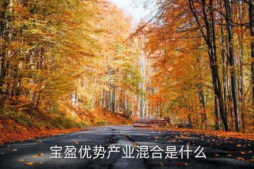  寶盈優(yōu)勢產業(yè)混合是什么