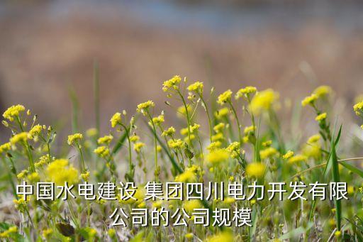 中國水電建設(shè) 集團四川電力開發(fā)有限公司的公司規(guī)模