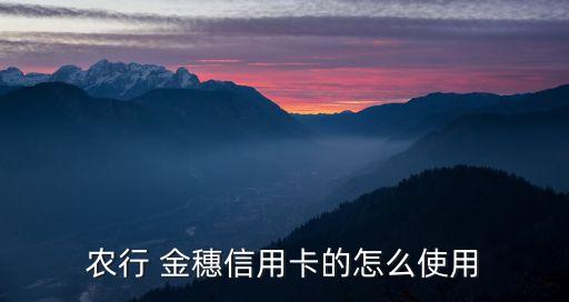 農行 金穗信用卡的怎么使用