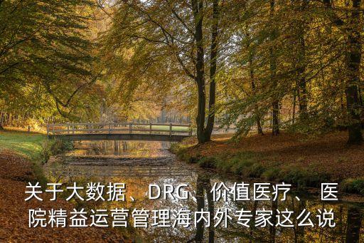 關(guān)于大數(shù)據(jù)、DRG、價值醫(yī)療、 醫(yī)院精益運營管理海內(nèi)外專家這么說
