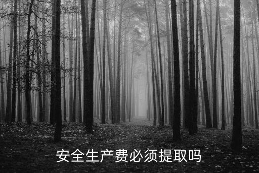 安全生產(chǎn)費必須提取嗎