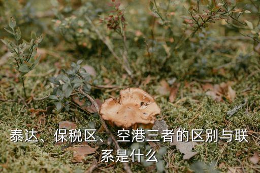 泰達、保稅區(qū)、 空港三者的區(qū)別與聯(lián)系是什么