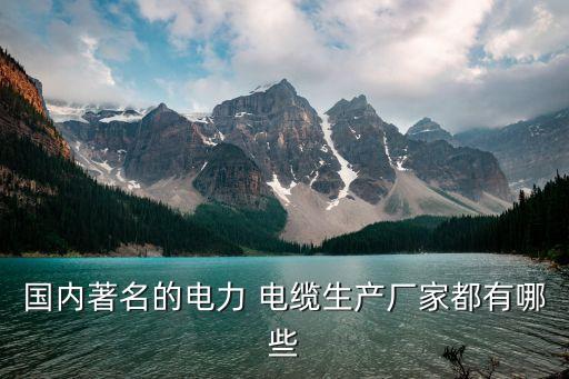 國內著名的電力 電纜生產(chǎn)廠家都有哪些
