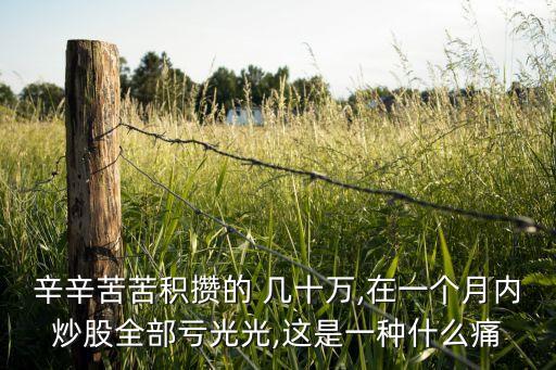 辛辛苦苦積攢的 幾十萬,在一個月內(nèi)炒股全部虧光光,這是一種什么痛