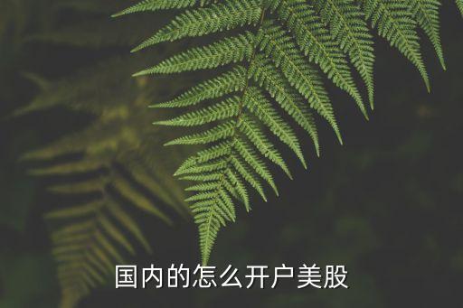 中國(guó)人能投資美國(guó)股票嗎,如何投資美國(guó)股票