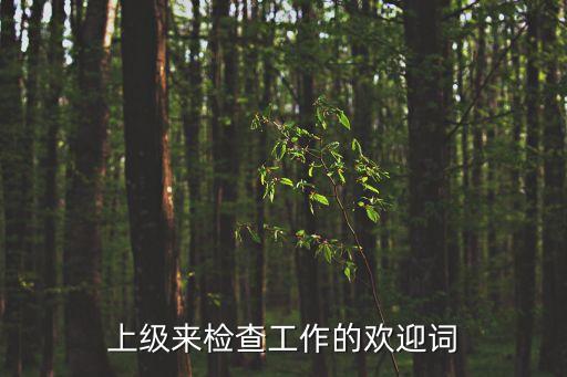 上級(jí)來(lái)檢查工作的歡迎詞