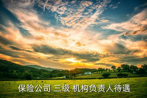  保險公司 三級 機(jī)構(gòu)負(fù)責(zé)人待遇
