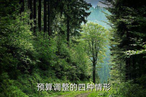 預算調節(jié)基金的功能是,預算穩(wěn)定調節(jié)基金來源和用途