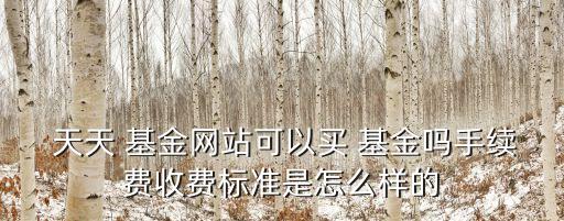  天天 基金網(wǎng)站可以買(mǎi) 基金嗎手續(xù)費(fèi)收費(fèi)標(biāo)準(zhǔn)是怎么樣的