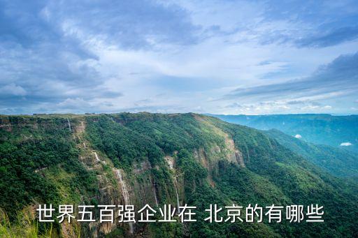  世界五百強企業(yè)在 北京的有哪些