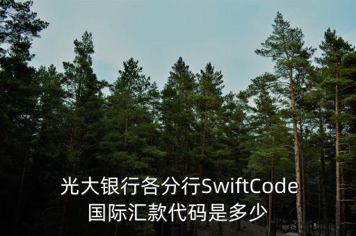 中國光大銀行西安東大街支行行號,光大銀行西安經濟技術開發(fā)區(qū)支行