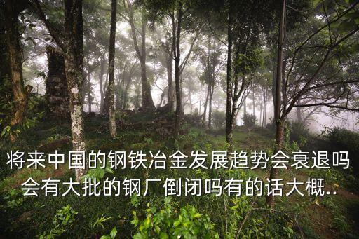 將來(lái)中國(guó)的鋼鐵冶金發(fā)展趨勢(shì)會(huì)衰退嗎會(huì)有大批的鋼廠倒閉嗎有的話大概...