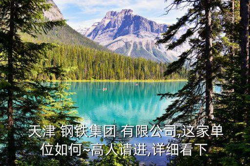  天津 鋼鐵集團(tuán) 有限公司,這家單位如何~高人請(qǐng)進(jìn),詳細(xì)看下