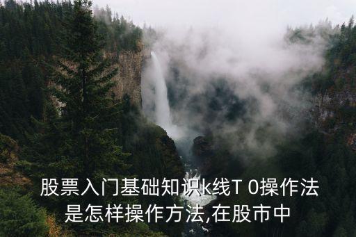  股票入門(mén)基礎(chǔ)知識(shí)k線(xiàn)T 0操作法是怎樣操作方法,在股市中