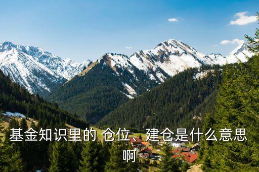 基金知識里的 倉位、建倉是什么意思啊