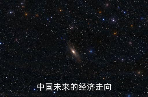 中國(guó)未來的經(jīng)濟(jì)走向