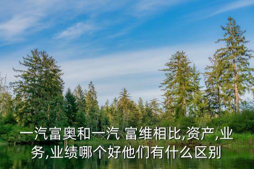 一汽富奧和一汽 富維相比,資產,業(yè)務,業(yè)績哪個好他們有什么區(qū)別