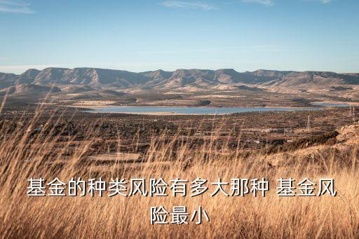  基金的種類風險有多大那種 基金風險最小
