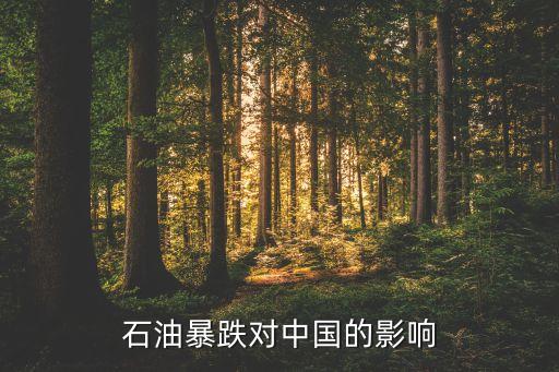 石油暴跌對(duì)中國的影響