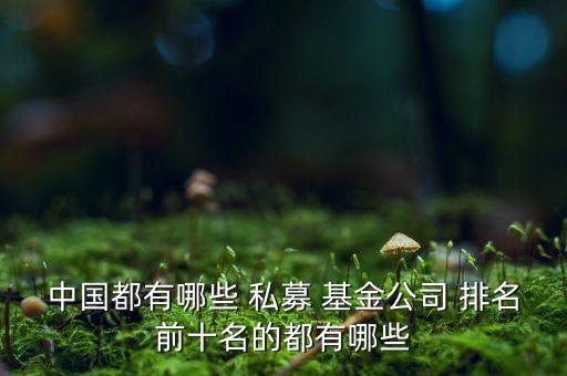 中國都有哪些 私募 基金公司 排名前十名的都有哪些