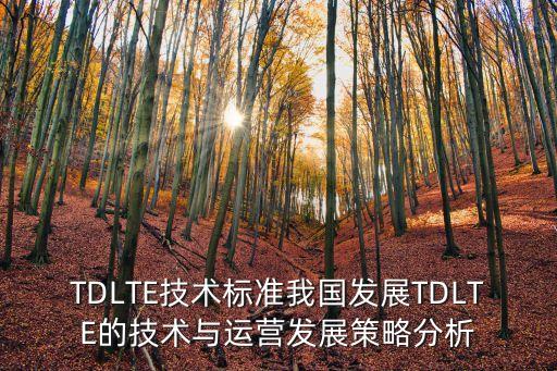TDLTE技術(shù)標(biāo)準(zhǔn)我國(guó)發(fā)展TDLTE的技術(shù)與運(yùn)營(yíng)發(fā)展策略分析