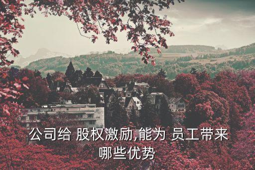  公司給 股權(quán)激勵(lì),能為 員工帶來(lái)哪些優(yōu)勢(shì)