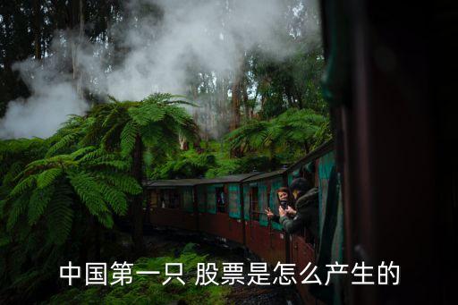 中國(guó)第一只 股票是怎么產(chǎn)生的