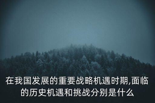 中國(guó)海外鐵礦石投資泡湯