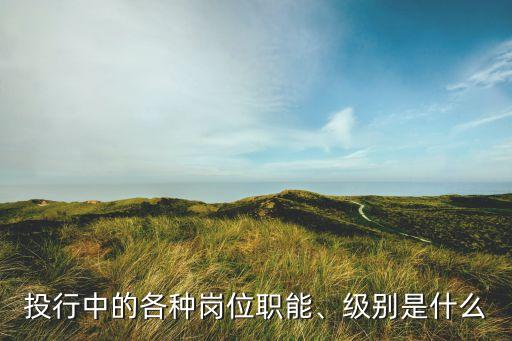 投行中的各種崗位職能、級(jí)別是什么