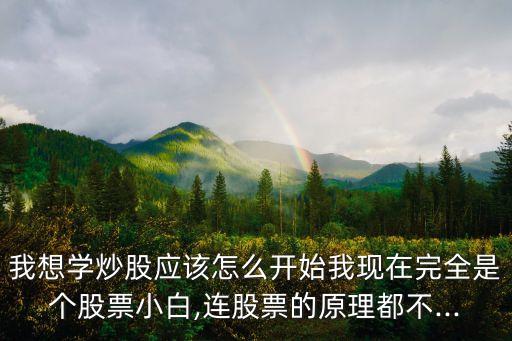 我想學炒股應(yīng)該怎么開始我現(xiàn)在完全是個股票小白,連股票的原理都不...
