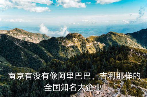  南京有沒有像阿里巴巴、吉利那樣的全國知名大企業(yè)