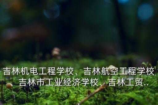 吉林機電工程學(xué)校、吉林航空工程學(xué)校、吉林市工業(yè)經(jīng)濟學(xué)校、吉林工貿(mào)...