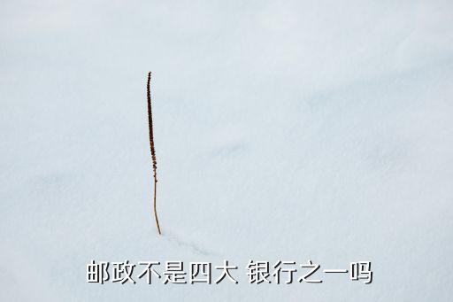 中國郵政儲(chǔ)蓄銀行現(xiàn)狀