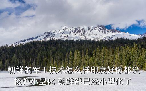  朝鮮的軍工技術怎么樣印度好像都沒核彈小型化 朝鮮都已經小型化了