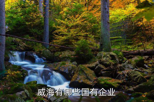 威海有哪些國有企業(yè)