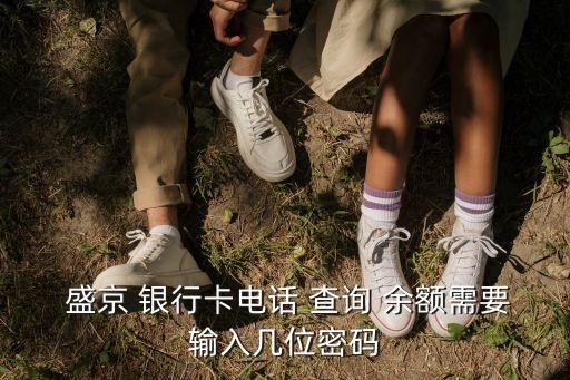  盛京 銀行卡電話 查詢(xún) 余額需要輸入幾位密碼