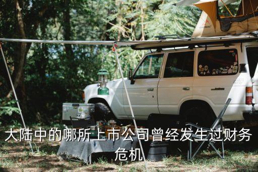 大陸中的哪所上市公司曾經(jīng)發(fā)生過(guò)財(cái)務(wù)危機(jī)