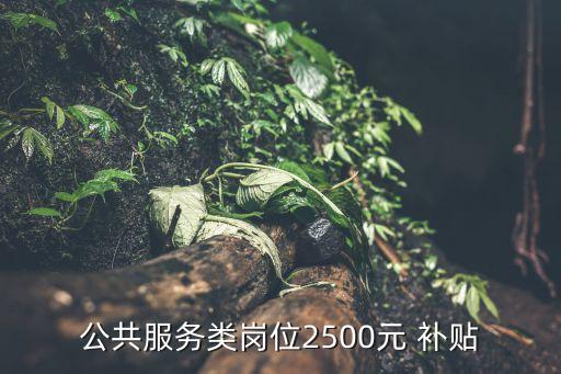 公共服務類崗位2500元 補貼