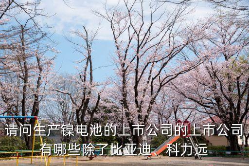 請問生產(chǎn)鎳電池的上市公司的上市公司有哪些除了比亞迪、科力遠(yuǎn)