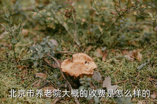 北京試點護(hù)理保險,深圳長期護(hù)理保險試點辦法