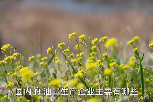 國內的 油墨生產企業(yè)主要有哪些