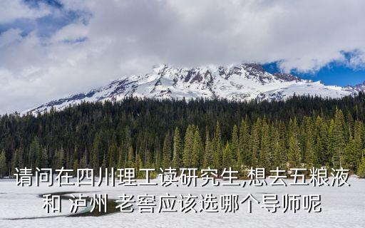 請問在四川理工讀研究生,想去五糧液和 瀘州 老窖應(yīng)該選哪個(gè)導(dǎo)師呢