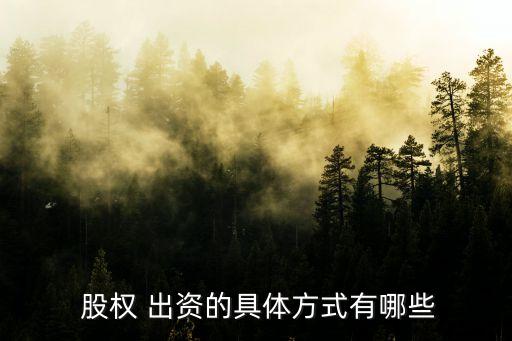  股權 出資的具體方式有哪些