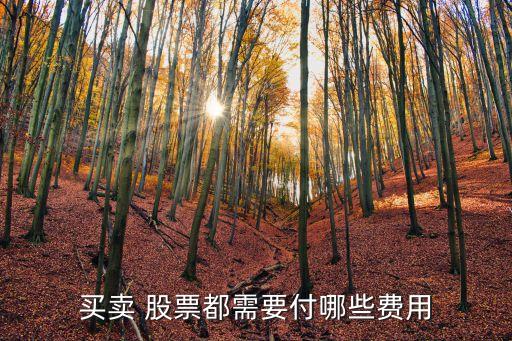 買(mǎi)賣(mài) 股票都需要付哪些費(fèi)用